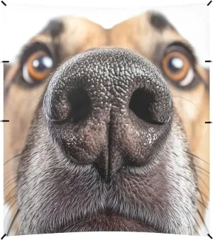 Funny Brown Dog Nose Close Up Tent Beach Canopy Outdoor Patio Sun Shade Kids Travel Camping Sun Shelter 9.2 × 10.5 FT Sunshade with Poles Sand Anchor