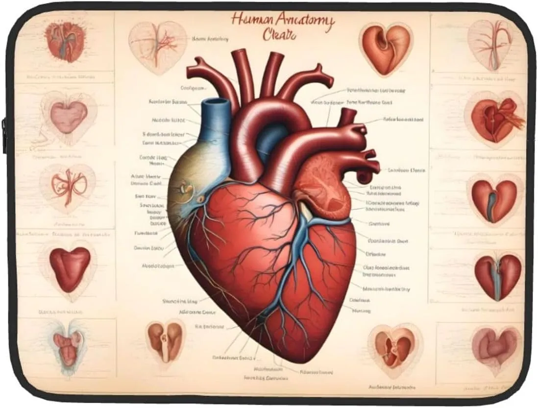 Human Anatomy Heart Chart Prints Shockproof Portable Laptop Sleeve Bag 15 inch for Men and Women Business Travel, Office Daily Use