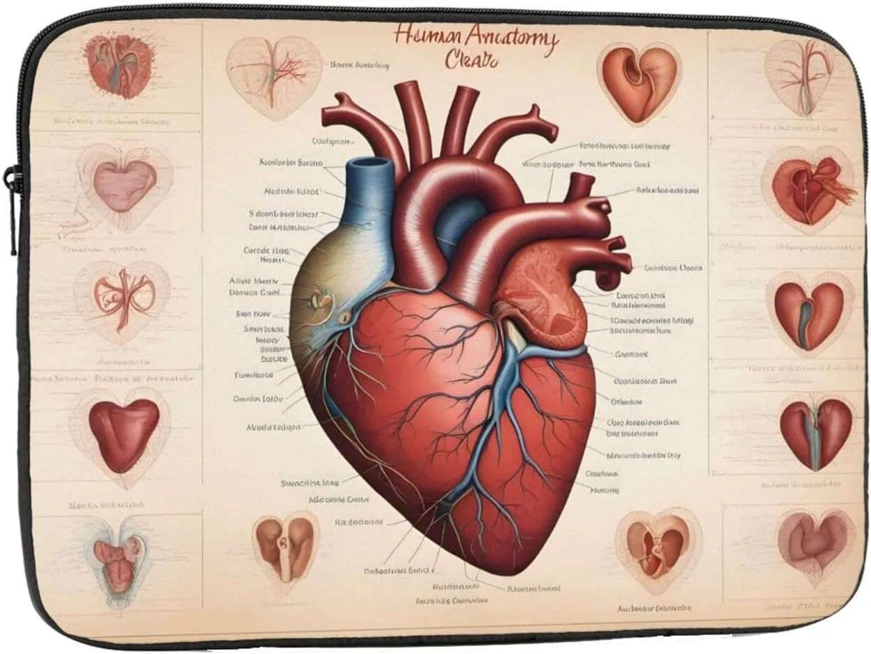 Human Anatomy Heart Chart Prints Shockproof Portable Laptop Sleeve Bag 15 inch for Men and Women Business Travel, Office Daily Use