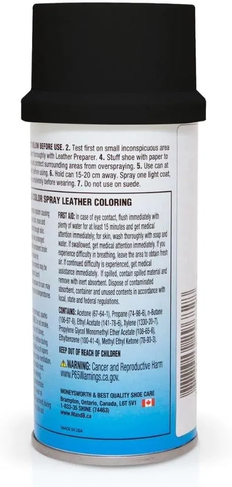 Moneysworth & Best Brillo Color Spray